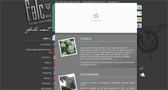 Desktop Screenshot of falc.net